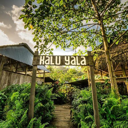 The Jungle Lodge At Kalu Yala Πόλη του Παναμά Εξωτερικό φωτογραφία