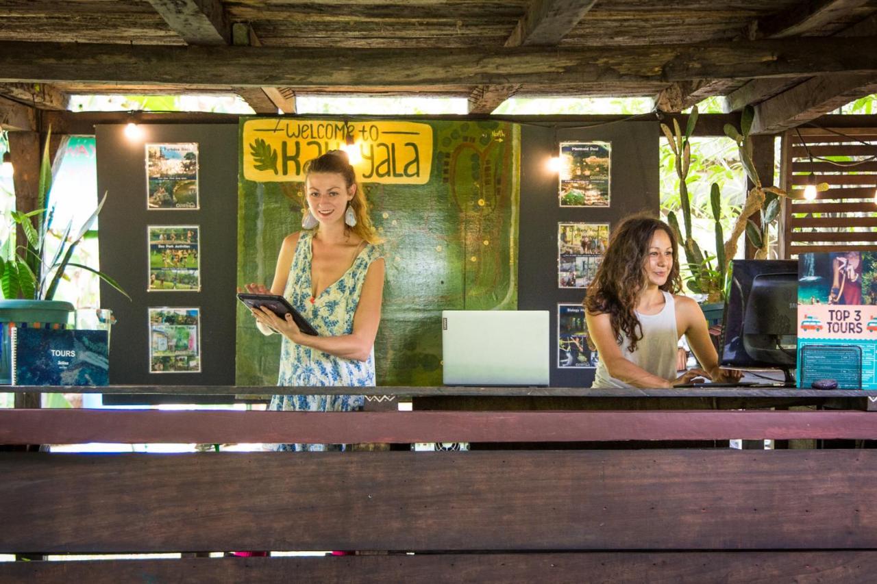 The Jungle Lodge At Kalu Yala Πόλη του Παναμά Εξωτερικό φωτογραφία
