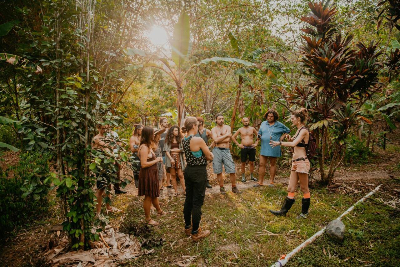 The Jungle Lodge At Kalu Yala Πόλη του Παναμά Εξωτερικό φωτογραφία