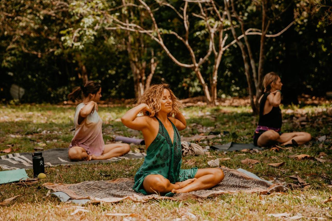 The Jungle Lodge At Kalu Yala Πόλη του Παναμά Εξωτερικό φωτογραφία