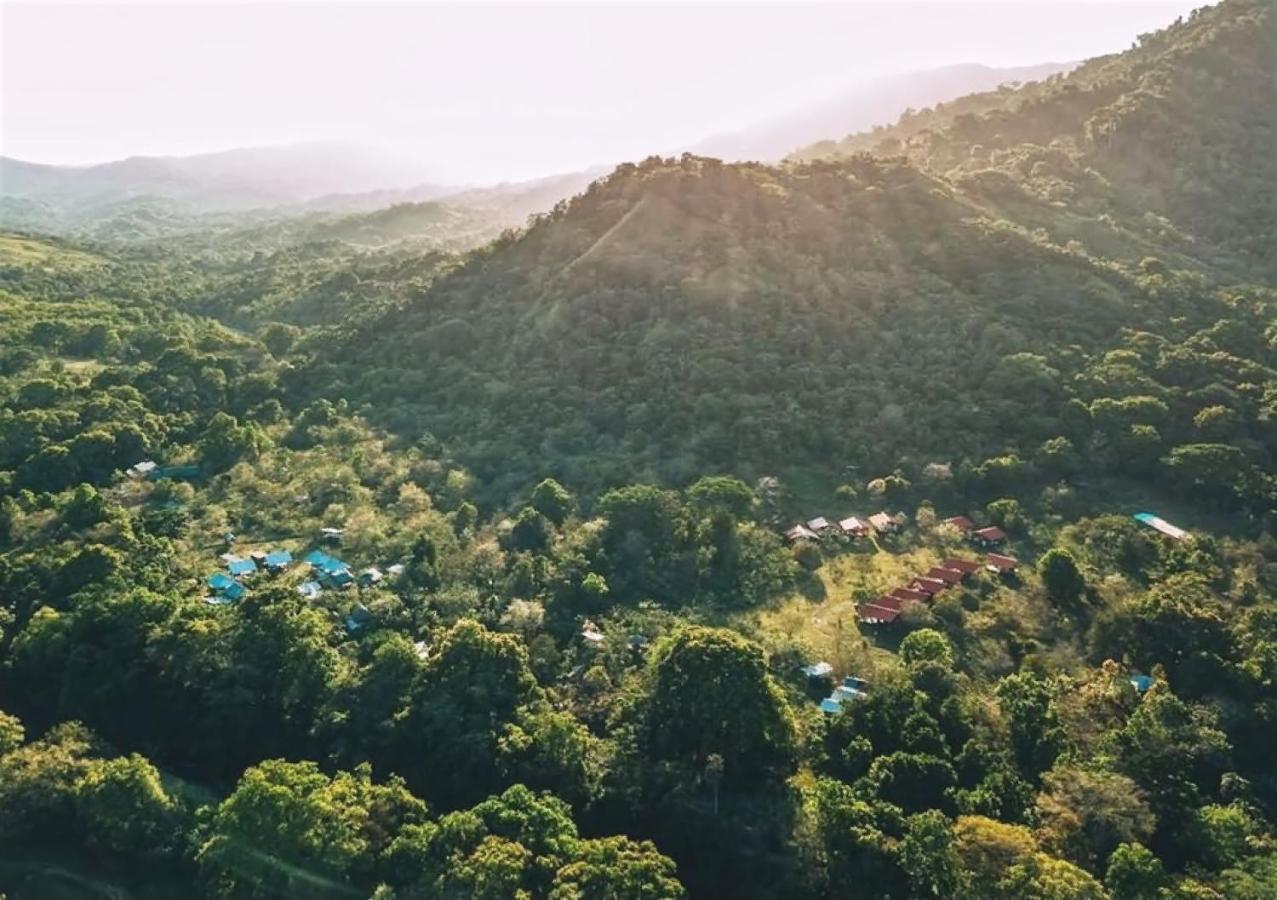 The Jungle Lodge At Kalu Yala Πόλη του Παναμά Εξωτερικό φωτογραφία