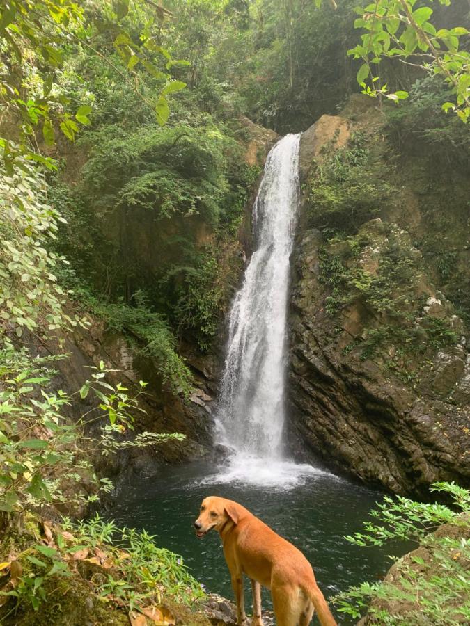 The Jungle Lodge At Kalu Yala Πόλη του Παναμά Εξωτερικό φωτογραφία