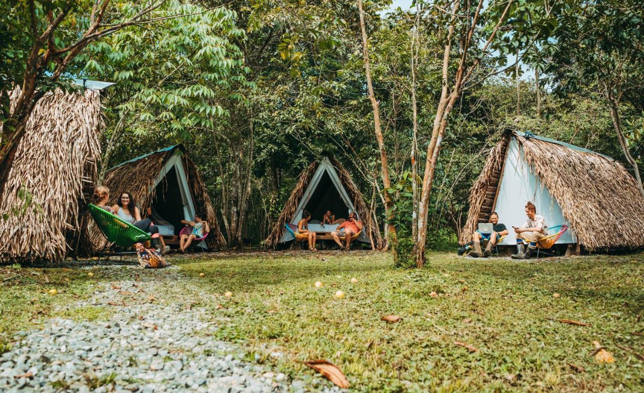 The Jungle Lodge At Kalu Yala Πόλη του Παναμά Εξωτερικό φωτογραφία
