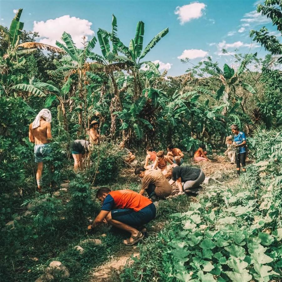 The Jungle Lodge At Kalu Yala Πόλη του Παναμά Εξωτερικό φωτογραφία