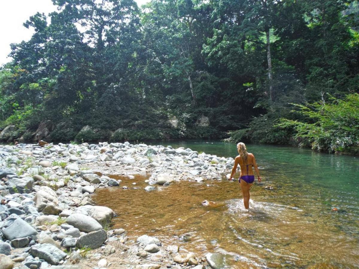 The Jungle Lodge At Kalu Yala Πόλη του Παναμά Εξωτερικό φωτογραφία